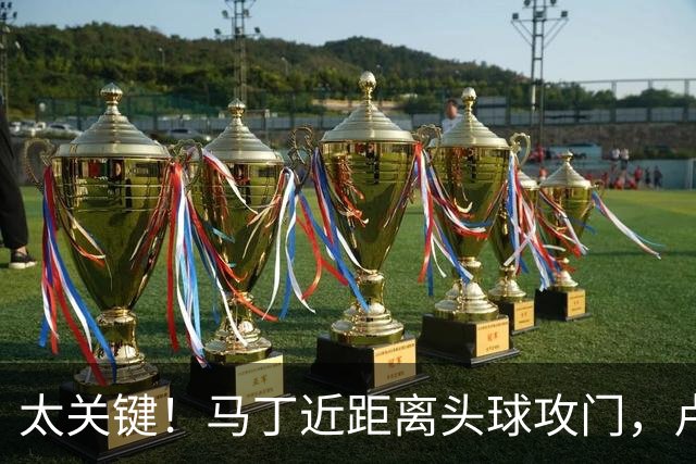 太关键！马丁近距离头球攻门，卢宁神扑