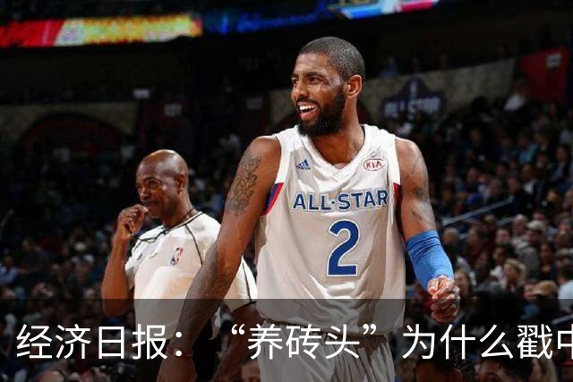 经济日报：“养砖头”为什么戳中年轻人？